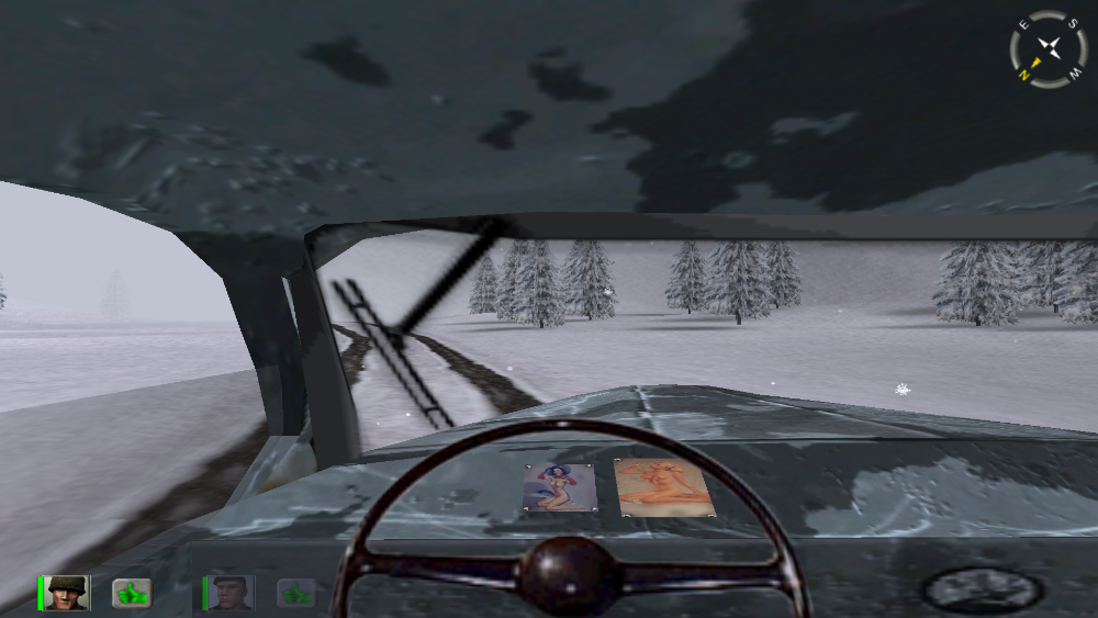 driver view.png