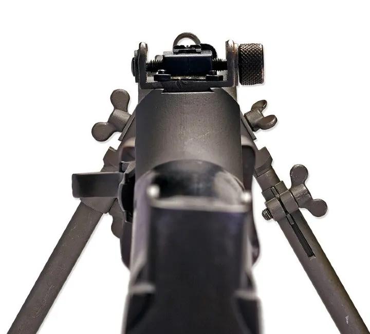 BAR1918A2 sights.jpg